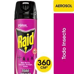 Insecticida Raid Mata Todo Insectos Aerosol 360 ml