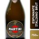 Espumante Martini Brut 750 cc - imagen 1