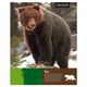 Cuaderno Universitario Animales 100 Hojas 7 mm (surtido) - imagen 11