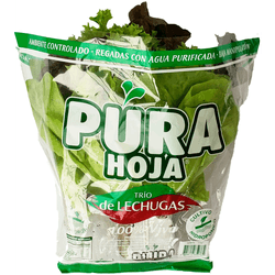 Trio de Lechugas Hidropónicas Pura Hoja 1 un.