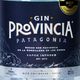 Gin Provincia Patagonia 43° 700 cc - imagen 2