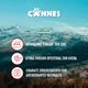 Alimento Perro Adulto Cannes Carne y Cereales 3 kg - imagen 6