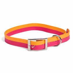 Collar PVC Color Rosa-Naranjo L