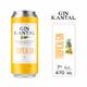 Cóctel Gin Kantal Tropical 7° 470 cc - imagen 1